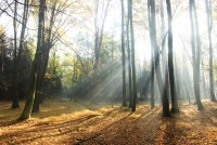 /album/fotogaleria/a16005592-s-jpg/